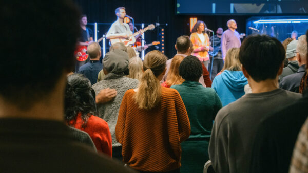 Trent Vineyard Jan 26 2026 17