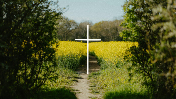 The Journey to the Cross - Part 2 Artwork image