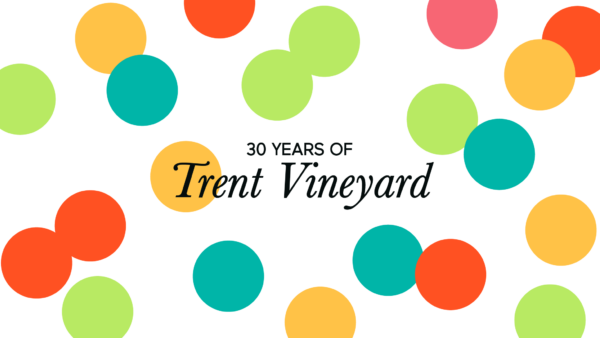 Trent Vineyard's 30th Birthday Service Artwork image