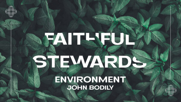 Faithful Stewards - Environment Artwork image