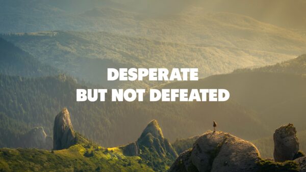 Desperate but not defeated Artwork image