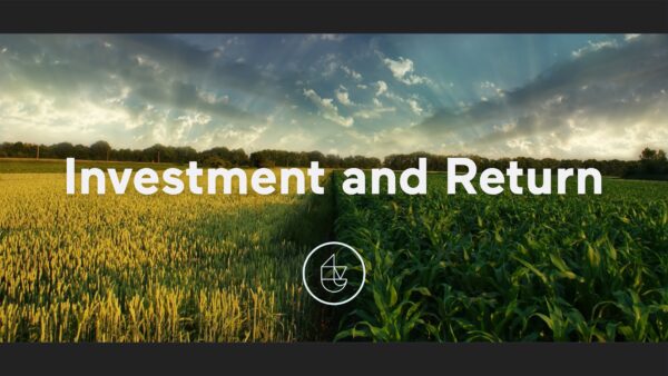 Investment & Return Part 1 - Sowing & Reaping Artwork image