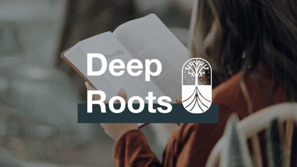 Rootfulness Part 5 - Deep Roots Artwork image