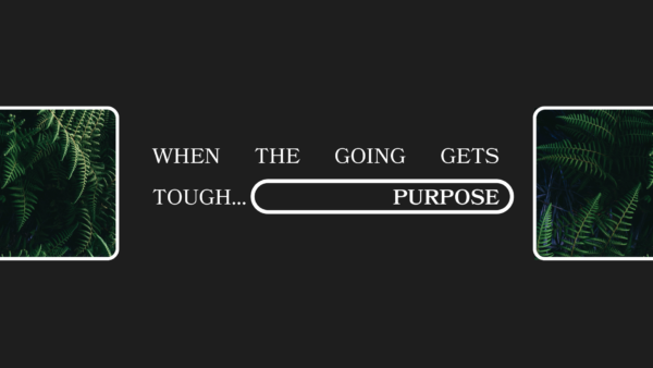 When the Going Gets Tough - Purpose Artwork image