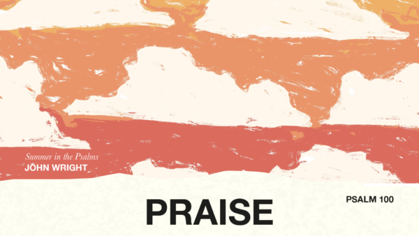Summer in the Psalms. Talk 5: Praise Artwork image